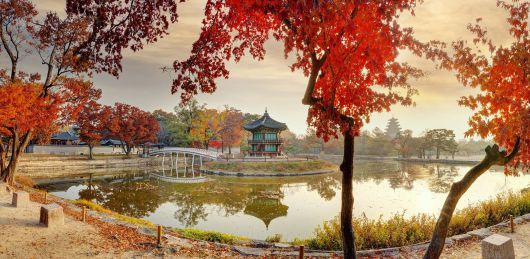 경복궁 향원정 전경. /국가유산청