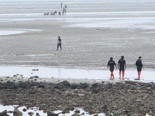 해경이 5일 태안 남면 진산리 갯벌에서 해루질 중 실종된 70대 여성을 수색하고 있다. /뉴스1