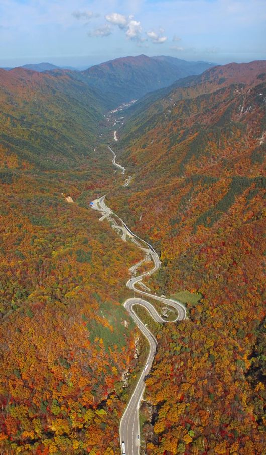 2015년 16일 강원도 오대산 진고개./박상훈 기자