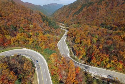 16일 강원도 오대산 진고개가 절정의 붉은 단풍을 보여주고 있다.