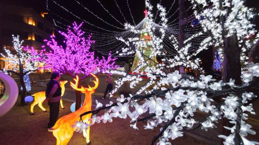 1일 광주 남구 양림동 펭귄마을에 2025 양림&크리스마스 축제가 시작되면서 성탄트리가 불을 밝혔다./김영근 기자