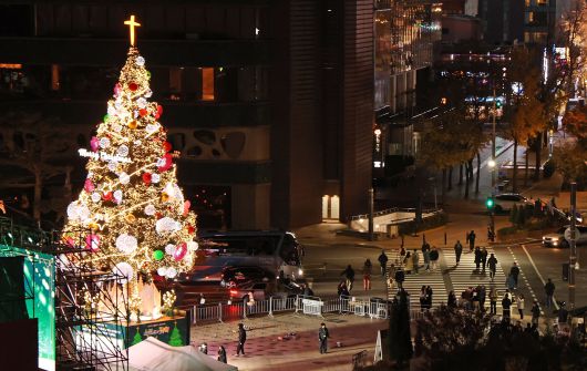 11월 17일 서울 중구 서울광장에서 열린 대한민국성탄축제 성탄트리 점등식. /장경식 기자