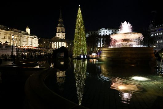 12월 4일 영국 런던 트라팔가 광장에서 열린 성탄트리  점등식 모습. 이 트리는 노르웨이 국민이 기증한 오슬로 크리스마스트리다. /로이터 연합뉴스