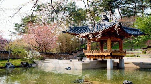 경기도 용인에 있는 호암미술관 정원 '희원'.  한국 전통정원의 멋을 그대로 보여준다는 평가를 받는다. /조경설계 서안