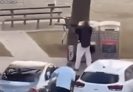 호주 본다이비치 총격범을 한 시민이 제압하는 영상./ 엑스