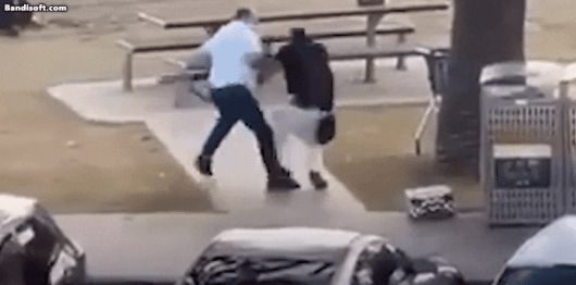 호주 본다이비치 총격범을 한 시민이 제압하는 영상./ 엑스