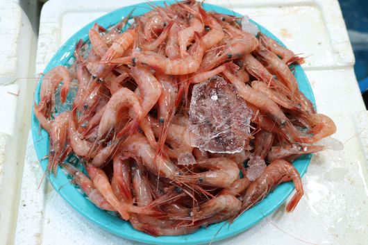 묵호어시장에서 판매하는 단새우