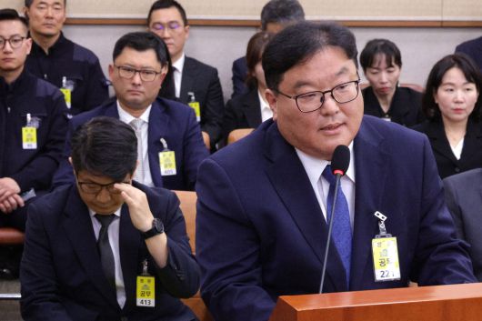 엄희준 광주고검 검사가 지난 10월 23일 서울 여의도 국회 법제사법위원회에서 열린 서울고등검찰청·서울중앙지방검찰청 등에 대한 국정감사에서 의원 질의에 답변하고 있다. 왼쪽은 문지석 광주지검 부장검사. /뉴스1