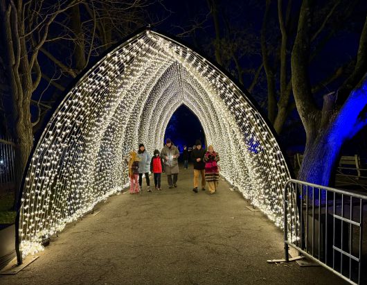 뉴욕 브루클린 식물원 ‘라이트스케이프(Lightscape)’의 조명 터널. 고딕 성당의 아치에서 영감을 받은 디자인이다.