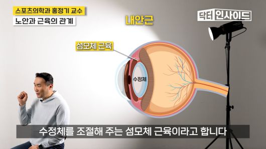 /조선일보 의학·건강 유튜브 '닥터 인사이드'