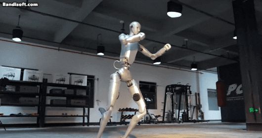 중국 로봇 기업 유니트리의 휴머노이드 로봇 'H2