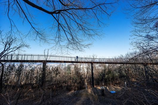 '서울둘레길 2.0' 코스에 새로 추가된 ‘용마산 스카이워크’. 숲 위를 걷는 듯 놓인 탐방로에선 서울 동북부 일대가 파노라마 전망으로 펼쳐진다. 묘역 위로도 탐방로가 지난다. / 양수열 영상미디어 기자
