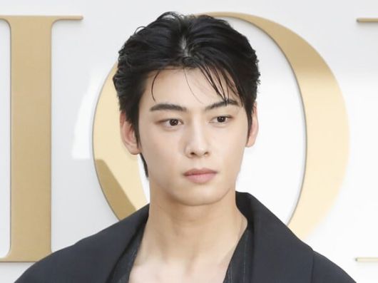 가수 겸 배우 차은우./ 뉴스1