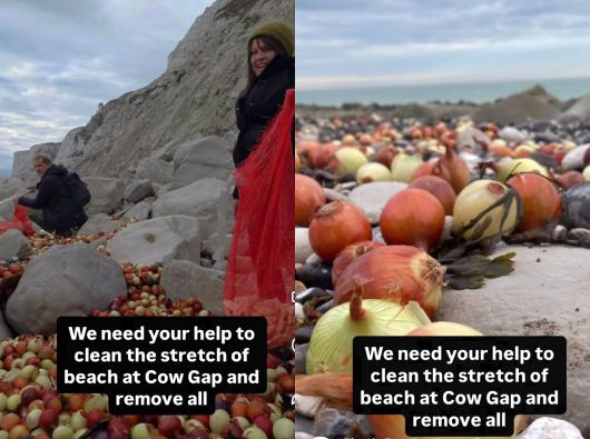 감자튀김보다 먼저 해변에 밀려든 양파들. 환경단체는 페이스북을 통해 함꼐 해변 정화 작업을 할 지원자들을 모집했다./플라스틱 프리 이스트본 페이스북