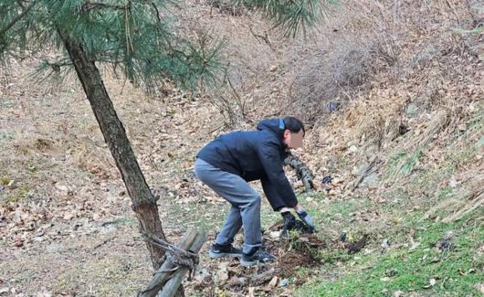 산에서 쓰레기를 줍고 있는 외국인. /부평구 홈페이지