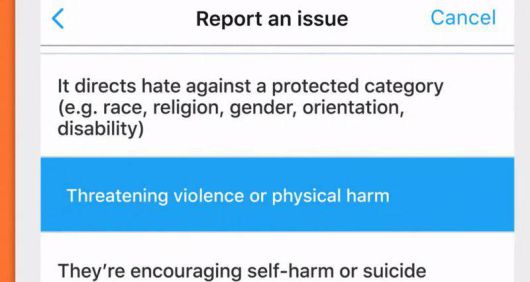 운영 원칙을 위반한 폭력적인 트윗을 신고하기, 출처=트위터