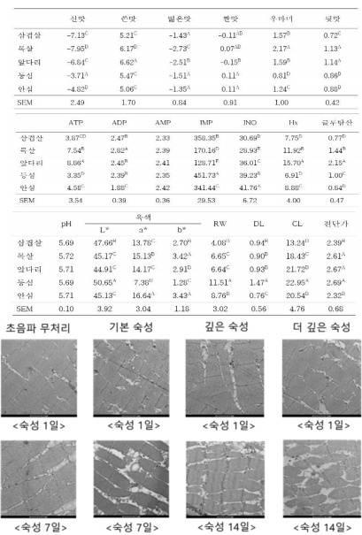 IT동아