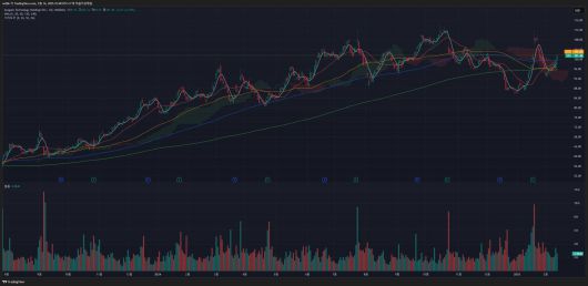 씨게이트 (종목 코드 : STX)의 주가 흐름을 보여주는 일봉 차트 / 출처=트레이딩뷰