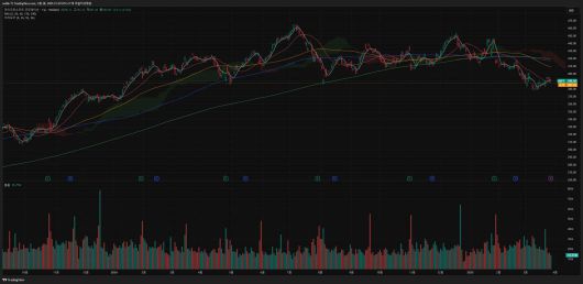 마이크로소프트 (종목 코드 : MSFT)의 주가 흐름을 보여주는 일봉 차트 / 출처=트레이딩뷰