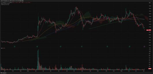 Arm (종목 코드 : ARM)의 주가 흐름을 보여주는 일봉 차트 / 출처=트레이딩뷰