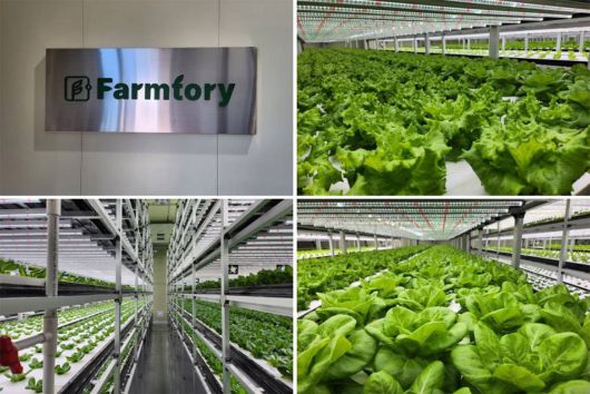 주식회사 팜토리 농업회사법인, 청주시의 1호 스마트팜이다 / 출처=충북경제자유구역청