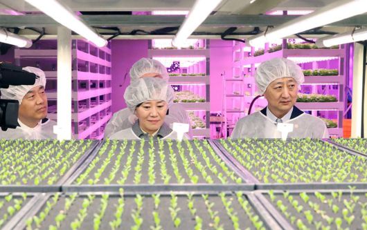 송미령 농림축산식품부 장관이 안덕근 산업통상자원부 장관과 함께 수직농장 재배실을 둘러보고 있다 / 출처=농림축산식품부
