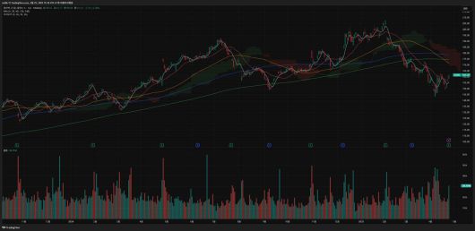 구글 (종목 코드 : GOOG)의 주가 흐름을 보여주는 일봉 차트 / 출처=트레이딩뷰