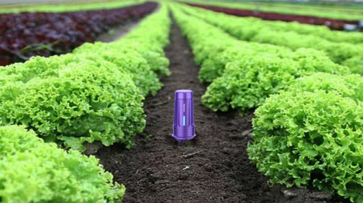 토양의 수분을 측정하는 화수분 센서 / 출처=와이비즈