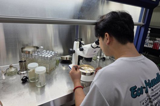 식물 배양 작업을 진행 중인 전진현 대표 / 출처=초롱팜바이오