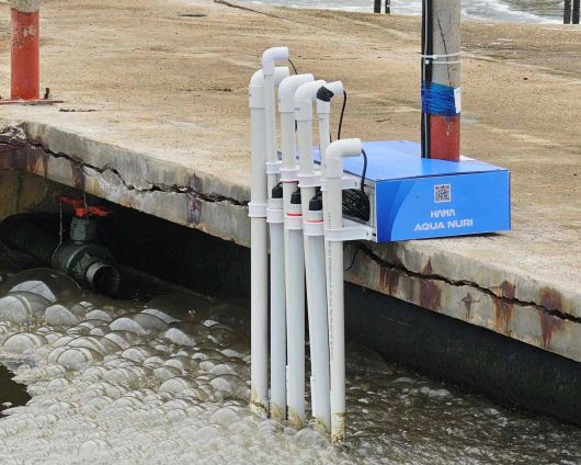 하마랩 사물인터넷 센서가 실시간으로 수질을 측정하는 모습 / 출처=하마랩