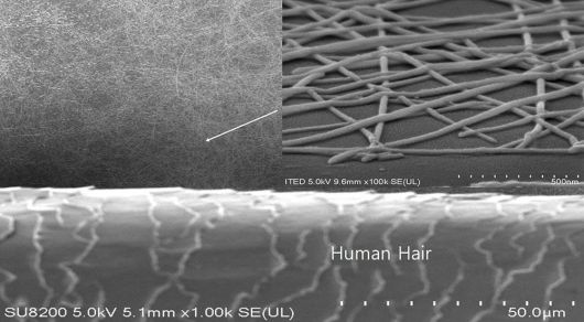 아이테드의 도전성 나노물질. 머리카락 굵기의 1/5000수준이다 / 출처=아이테드