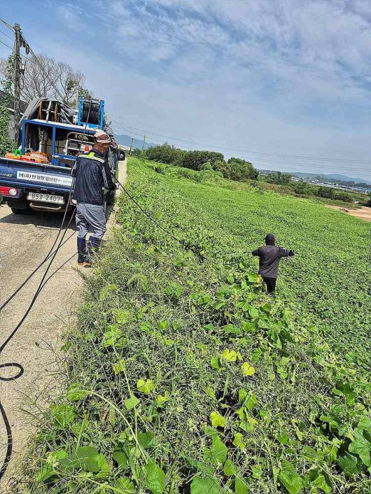 한경환경보전이 고유의 기술로 생태계교란식물 가시박을 박멸하는 모습 / 출처=한경환경보전