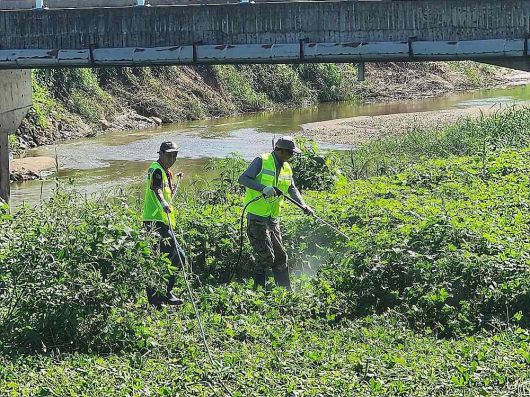 한경환경보전이 고유의 기술로 생태계교란식물 가시박을 박멸하는 모습 / 출처=한경환경보전