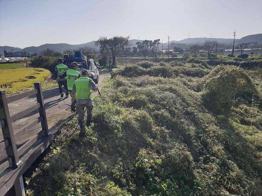 한경환경보전이 고유의 기술로 생태계교란식물 가시박을 박멸하는 모습 / 출처=한경환경보전