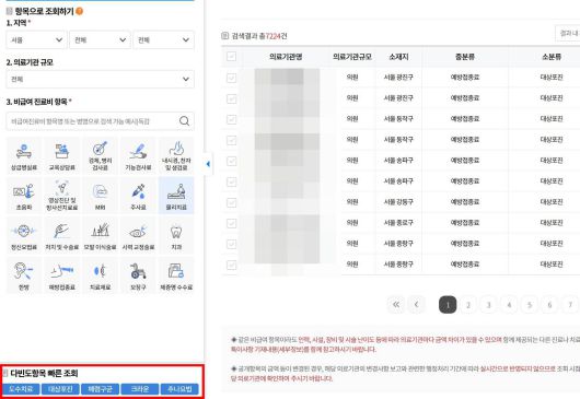 가장 자주 찾는 항목을 빠르게 조회해볼 수 있는 기능이 신설됐다 / 출처=건강보험심사평가원
