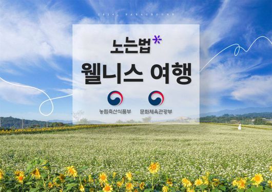 거창군은 2024년부터 바바그라운드와 함께 농촌 크리에이투어 사업을 진행 중이다 / 출처=바바그라운드