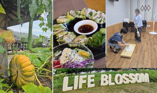 식사나 관광 이외에도 숙박이나 체험, 명상 등 다양한 활동들이 함께 제공된다 / 출처=바바그라운드