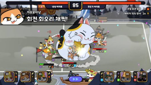 귀여운 고양이들의 대결