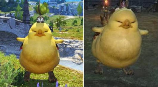 아니! 이 표정을 보라! 너무나 사랑스럽지 아니한가!!