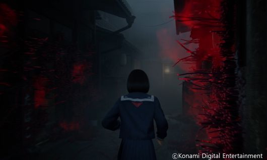 극명한 색의 대비를 보여준다