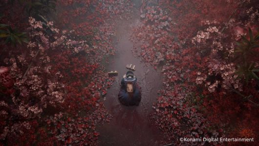 꽃에 잠식당한 모습