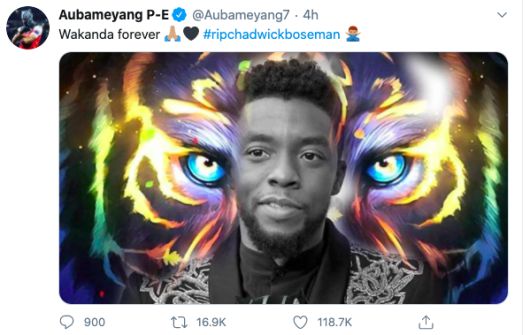 [사진] 오바메양 트위터 캡처