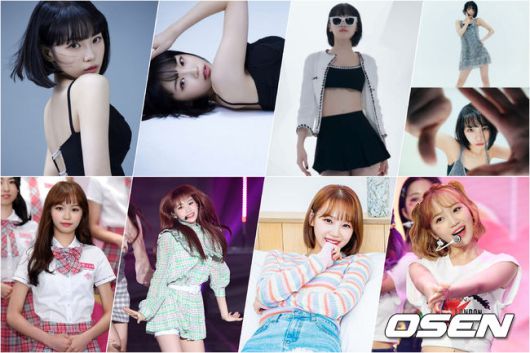 (위) 쏘스뮤직 제공 및 하이브 유튜브 캡쳐, (아래) OSEN