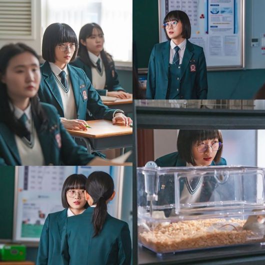 OSEN