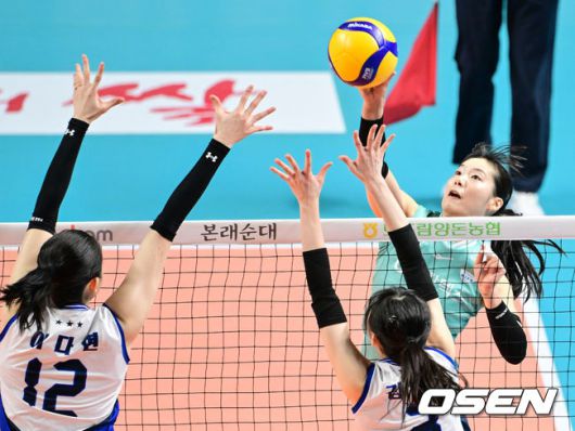 OSEN