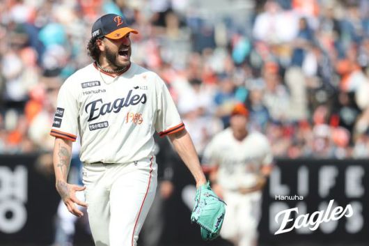 한화 코디 폰세. /한화 이글스 제공