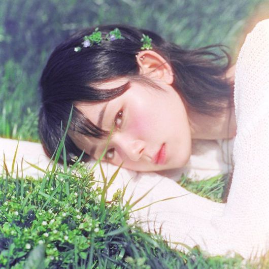 젤리피쉬엔터테인먼트 제공