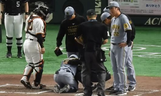 유튜브 채널 報知プロ野球