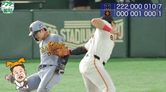 유튜브 채널 報知プロ野球