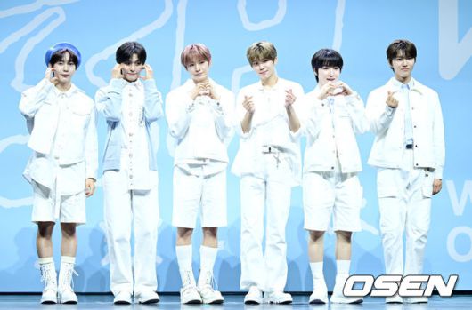 [OSEN=최규한 기자] 4일 오후 서울 한남동 블루스퀘어 마스터카드홀에서  ‘NCT WISH’(엔시티 위시) 데뷔 기념 쇼케이스가 열렸다.타이틀 곡 ‘WISH’는 올드스쿨 힙합을 기반으로 한 미디엄 템포의 댄스 곡으로,다이내믹하고 파워풀한 구성의 안무와 소원을 비는 포인트 제스처 등이 어우러진 퍼포먼스는 곡의 분위기와 어울리는 힘차고 패기 넘치는 매력을 느낄 수 있다.NCT WISH(엔시티 위시)가 포토타임을 하고 있다. 2024.03.04 / dreamer@osen.co.kr
